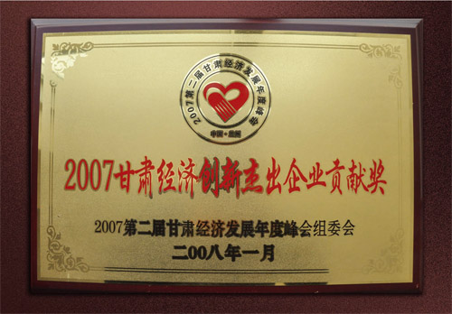 2007年甘肃经济创新杰出企业贡献奖